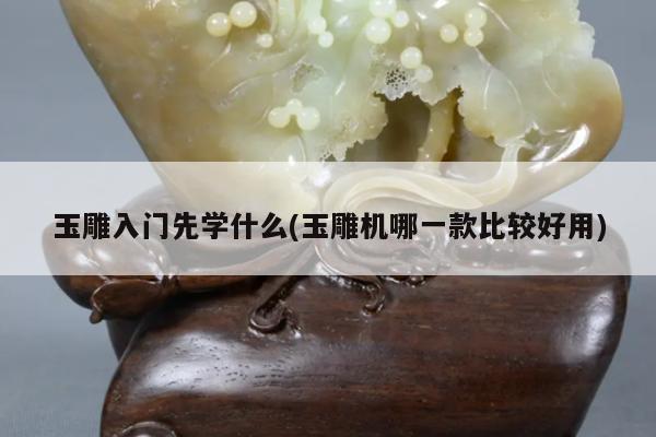 玉雕入门先学什么(玉雕机哪一款比较好用)