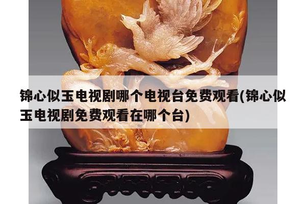 锦心似玉电视剧哪个电视台免费观看(锦心似玉电视剧免费观看在哪个台)
