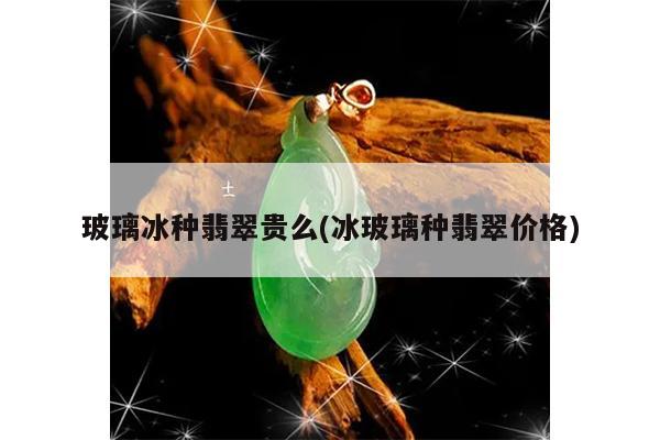 玻璃冰种翡翠贵么(冰玻璃种翡翠价格)