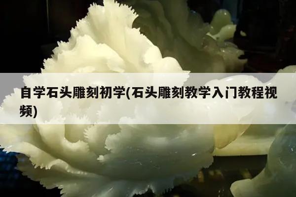 自学石头雕刻初学(石头雕刻教学入门教程视频)