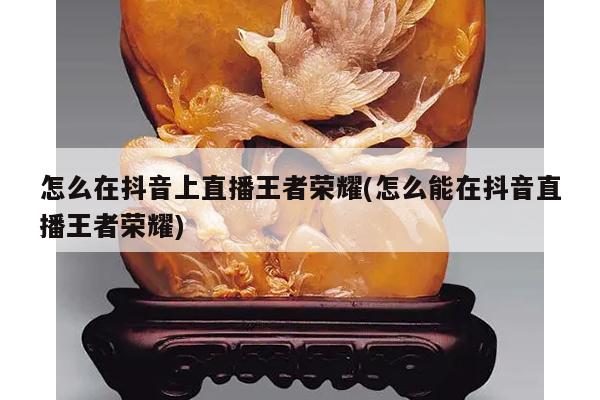 怎么在抖音上直播王者荣耀(怎么能在抖音直播王者荣耀)