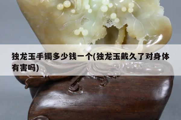 独龙玉手镯多少钱一个(独龙玉戴久了对身体有害吗)