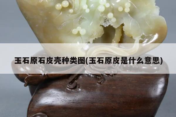 玉石原石皮壳种类图(玉石原皮是什么意思)