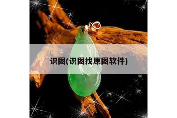 识图(识图找原图软件)