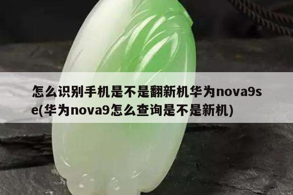 怎么识别手机是不是翻新机华为nova9se(华为nova9怎么查询是不是新机)