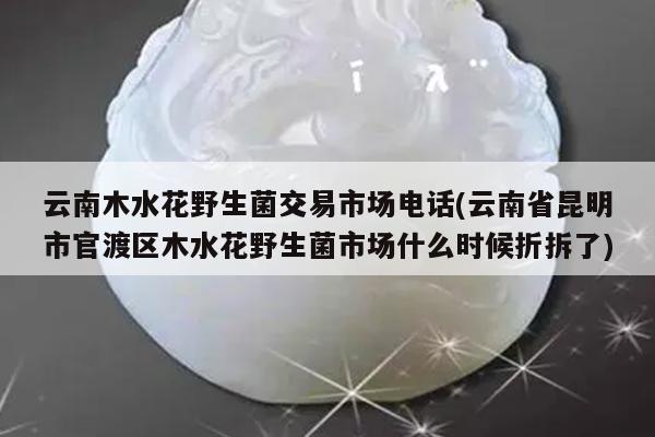 云南木水花野生菌交易市场电话(云南省昆明市官渡区木水花野生菌市场什么时候折拆了)
