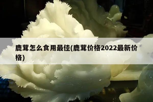 鹿茸怎么食用最佳(鹿茸价格2022最新价格)