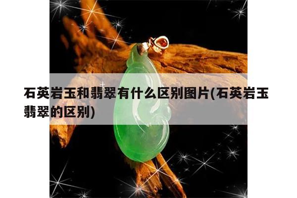 石英岩玉和翡翠有什么区别图片(石英岩玉 翡翠的区别)