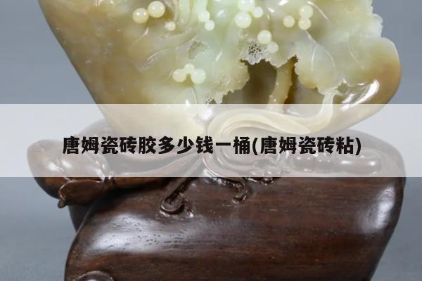 唐姆瓷砖胶多少钱一桶(唐姆瓷砖粘)