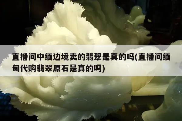 直播间中缅边境卖的翡翠是真的吗(直播间缅甸代购翡翠原石是真的吗)