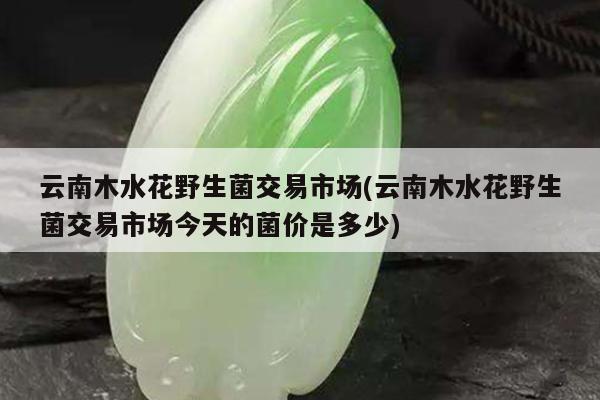 云南木水花野生菌交易市场(云南木水花野生菌交易市场今天的菌价是多少)