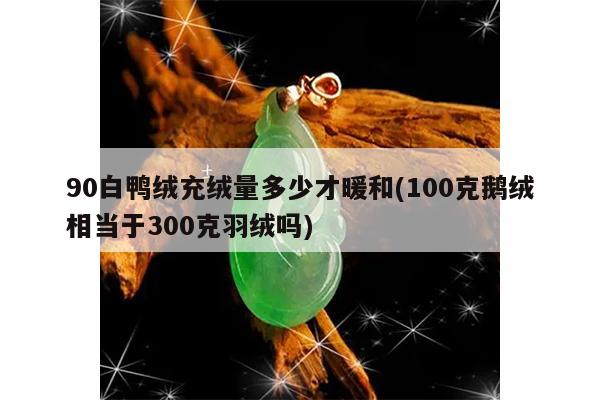 90白鸭绒充绒量多少才暖和(100克鹅绒相当于300克羽绒吗)