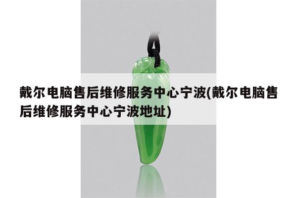 戴尔电脑售后维修服务中心宁波(戴尔电脑售后维修服务中心宁波地址)