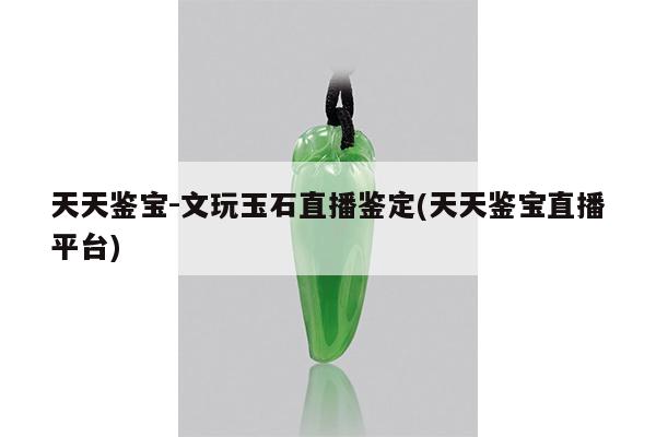 天天鉴宝-文玩玉石直播鉴定(天天鉴宝直播平台)