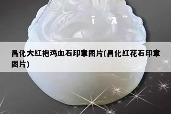昌化大红袍鸡血石印章图片(昌化红花石印章图片)