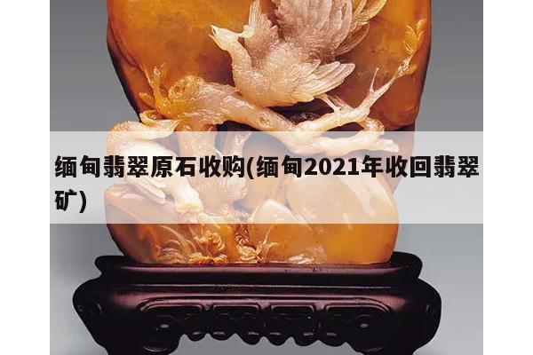 缅甸翡翠原石收购(缅甸2021年收回翡翠矿)