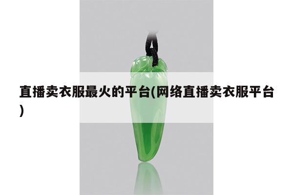 直播卖衣服最火的平台(网络直播卖衣服平台)