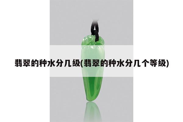 翡翠的种水分几级(翡翠的种水分几个等级)