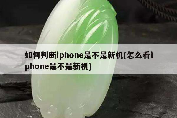 如何判断iphone是不是新机(怎么看iphone是不是新机)