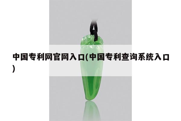 中国专利网官网入口(中国专利查询系统入口)