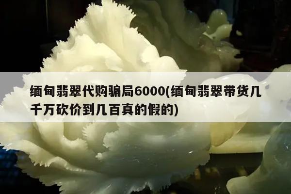 缅甸翡翠代购骗局6000(缅甸翡翠带货几千万砍价到几百真的假的)