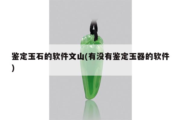 鉴定玉石的软件文山(有没有鉴定玉器的软件)