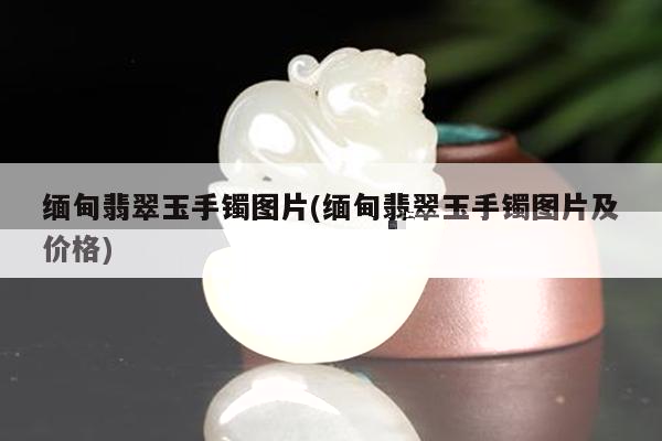 缅甸翡翠玉手镯图片(缅甸翡翠玉手镯图片及价格)