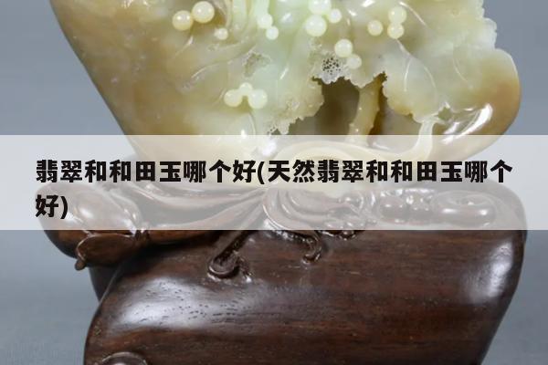 翡翠和和田玉哪个好(天然翡翠和和田玉哪个好)