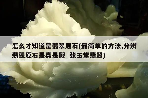 怎么才知道是翡翠原石(最简单的方法,分辨翡翠原石是真是假 张玉堂翡翠)