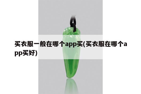 买衣服一般在哪个app买(买衣服在哪个app买好)