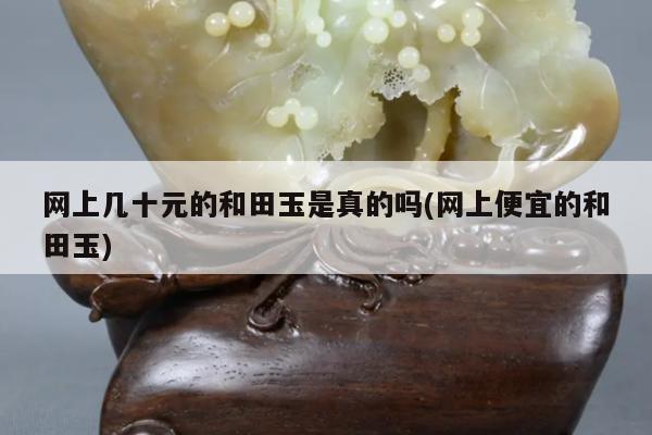 网上几十元的和田玉是真的吗(网上便宜的和田玉)