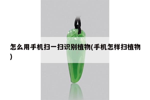 怎么用手机扫一扫识别植物(手机怎样扫植物)