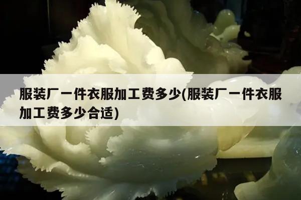 服装厂一件衣服加工费多少(服装厂一件衣服加工费多少合适)