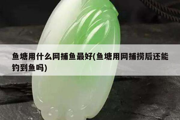 鱼塘用什么网捕鱼最好(鱼塘用网捕捞后还能钓到鱼吗)
