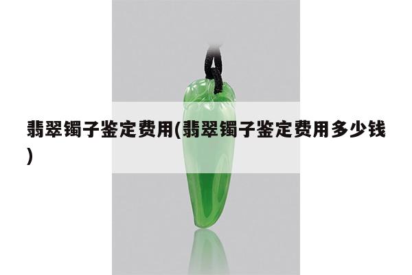翡翠镯子鉴定费用(翡翠镯子鉴定费用多少钱)