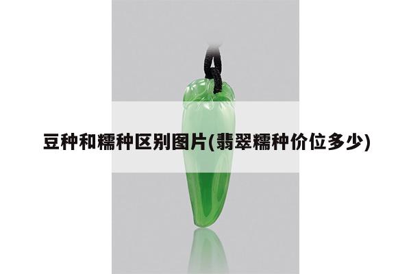 豆种和糯种区别图片(翡翠糯种价位多少)