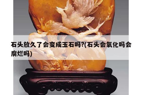 石头放久了会变成玉石吗?(石头会氧化吗会腐烂吗)