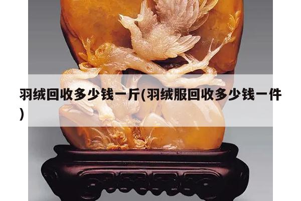 羽绒回收多少钱一斤(羽绒服回收多少钱一件)