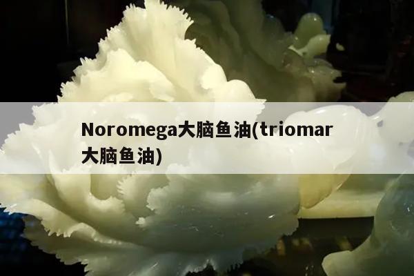 Noromega大脑鱼油(triomar大脑鱼油)