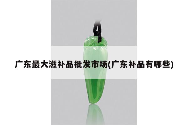 广东最大滋补品批发市场(广东补品有哪些)