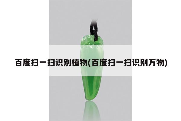 百度扫一扫识别植物(百度扫一扫识别万物)
