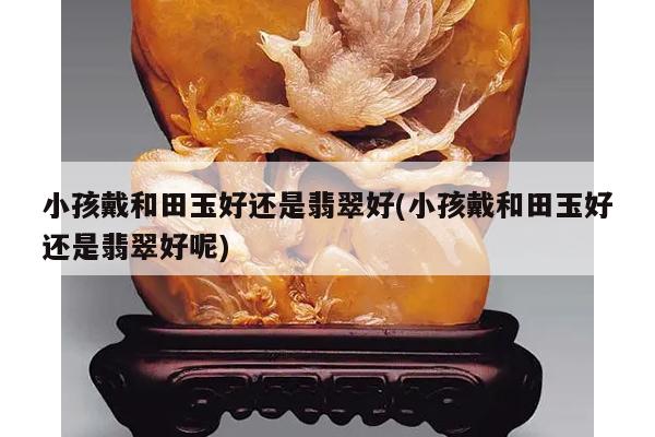 小孩戴和田玉好还是翡翠好(小孩戴和田玉好还是翡翠好呢)