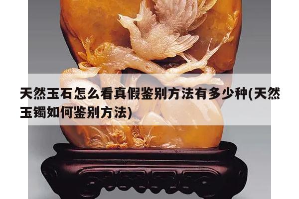天然玉石怎么看真假鉴别方法有多少种(天然玉镯如何鉴别方法)