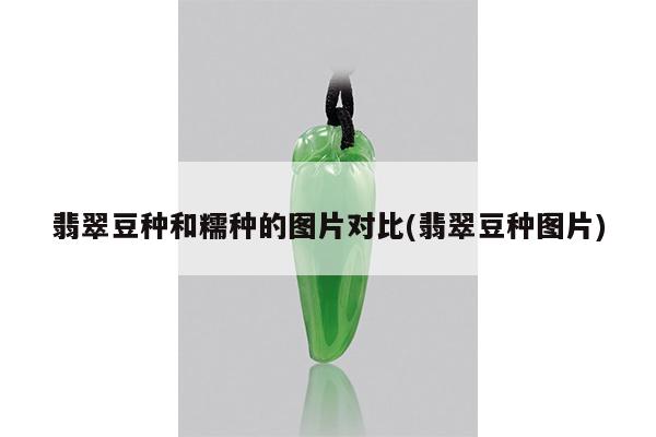 翡翠豆种和糯种的图片对比(翡翠豆种图片)
