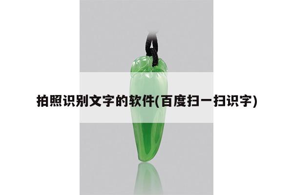拍照识别文字的软件(百度扫一扫识字)
