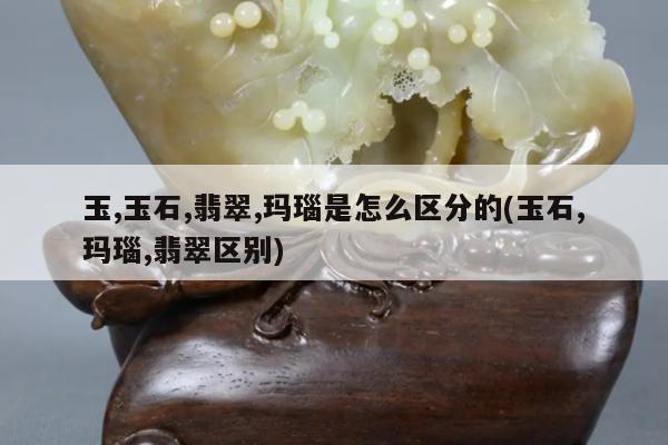 玉,玉石,翡翠,玛瑙是怎么区分的(玉石,玛瑙,翡翠区别)