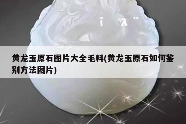 黄龙玉原石图片大全毛料(黄龙玉原石如何鉴别方法图片)
