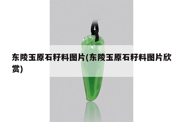 东陵玉原石籽料图片(东陵玉原石籽料图片欣赏)