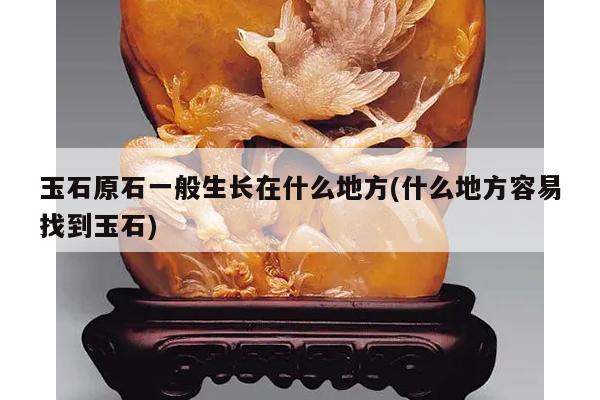 玉石原石一般生长在什么地方(什么地方容易找到玉石)