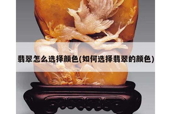 翡翠怎么选择颜色(如何选择翡翠的颜色)